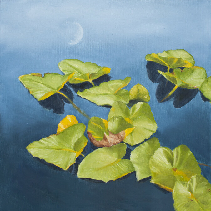 August Evening, Moon Pool  12" x 12"  (oil)
