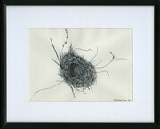 Bird's Nest  (ink on paper)  6.5 x 4.75''  framed 8 x10''
