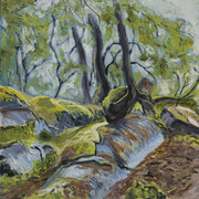 Coastal Forest  12x12''  (oil on canvas)