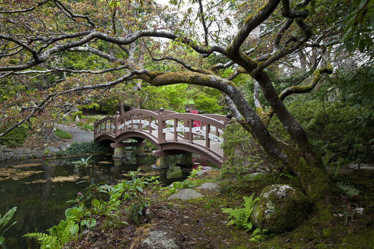 Japanese Garden, Hatley Park, Victoria BC - Spring