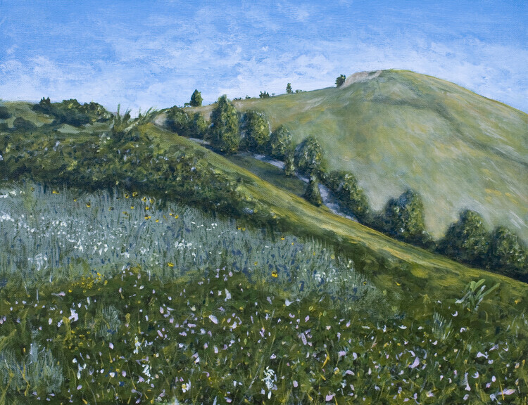 Nose Hill  (acrylic)  SOLD
