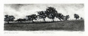Trees Near Keswick   3x9"  (Charcoal on paper)