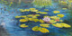 Waterlilies 18" x 36"   (oil)